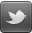 Twitter Icon
